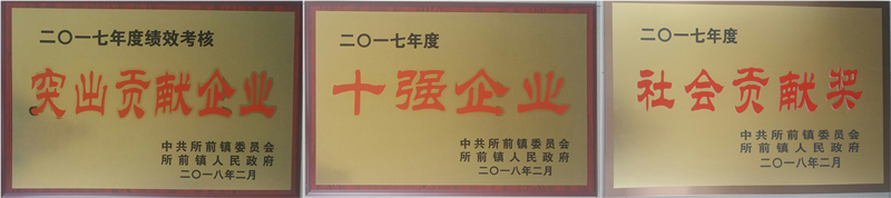 新光公司再獲所前鎮(zhèn)&ldquo;突出企業(yè)貢獻(xiàn)獎(jiǎng)&rdquo;等多項(xiàng)榮譽(yù)