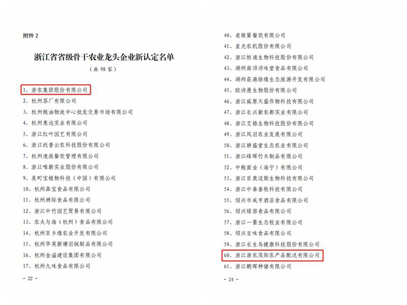 光影魔術(shù)手拼圖2_副本.jpg