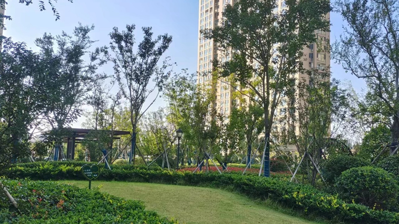 濟(jì)寧金色蘭庭&middot;香堤小區(qū)獲評(píng)2022年度濟(jì)寧市&ldquo;園林式居住區(qū)&rdquo;稱號(hào)